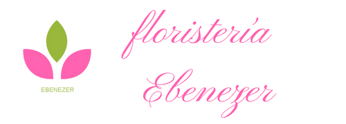 Floristeria Ebenezer Cali